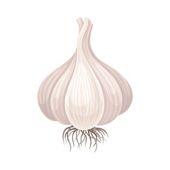 Garlic Bulb Isolated On White Background Vector Item