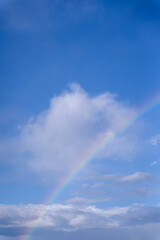 爽やかな青空に架かる虹