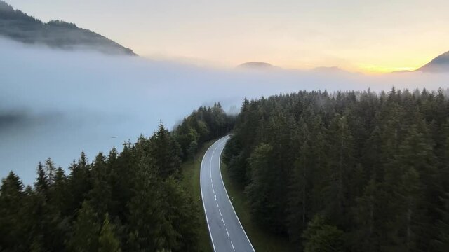 Aerial shot flying over a peaceful mountain road surrounded by pine tree forest on a foggy sunrise