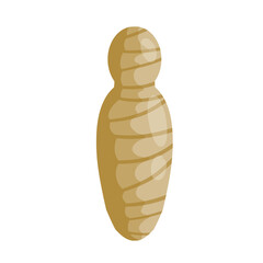 Mummy with body. Archaeology and the corpse. Halloween monster. Flat cartoon illustration. Ancient ruler Pharaoh of Egypt