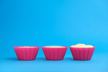 Growth process Food Business concept