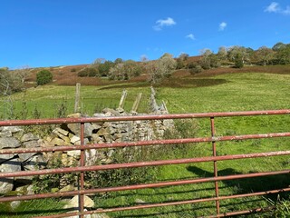 Farm gate, next to a dry stone wall, with fields, trees, and fells on the horizon in, Littondale, Skipton, UK