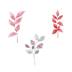 Paint of watercolor leave on  background. Paint watercolor texture. Botanical art. Use for design invitations, birthdays, weddings