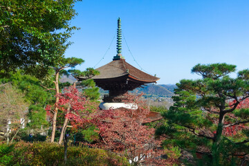 Obraz premium 紅葉に染まった京都・嵯峨野の常寂光寺（多宝塔）