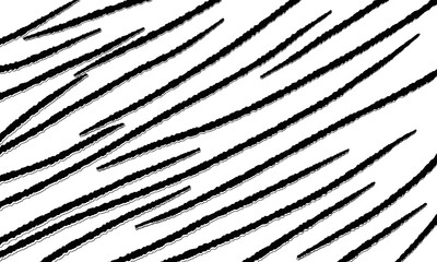 black and white tiger print