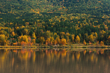 Autumn reflections of the Manjerokskoe lake, , Altai Republic, Russia