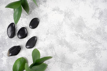 Black spa stones, plant branches on gray concrete background. Wellness concept. Top view, flat lay, copy space