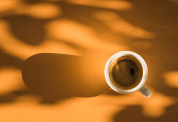 Coffee cup text space, coffee break natural beautiful warm light.