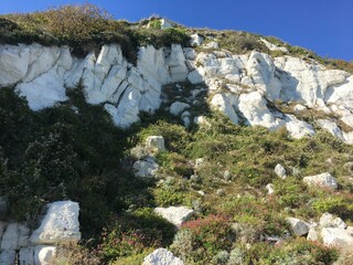 White cliffs