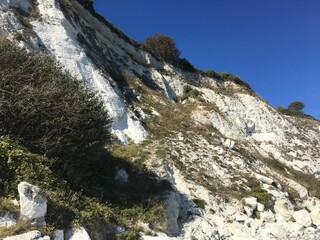 Beachy Head's white cliffs
