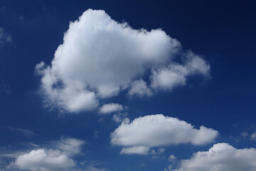 Fototapeta premium 青空と雲