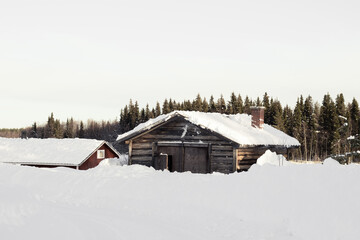 Old rustic wooden house in a forest at Winter