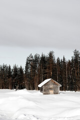 Fototapeta na wymiar Old rustic wooden house in a forest at Winter