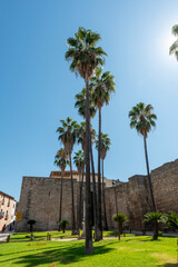 Fototapeta na wymiar Mérida, España - 15 de agosto de 2019: palmeras junto a la Alcazaba