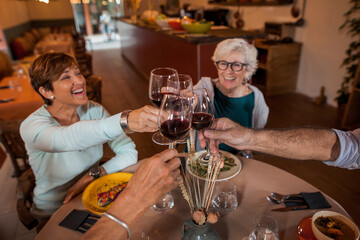 Senior friends group celebrating at dinner at restaurant. Detail of hands while toasting with glasses of red wine. Elderly lifestyle, friendship, food and drink, retired and pensioners concept