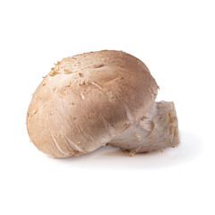 Shiitake mushrooms isolated on the white background