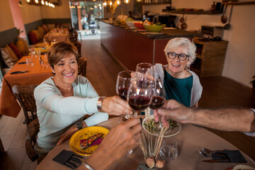Happy senior women toasting with red wine glasses at dinner time indoor. Mature people having fun dining together. Elderly lifestyle, food and drink, retired and pensioners concept