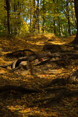 Autumn day in the city park.