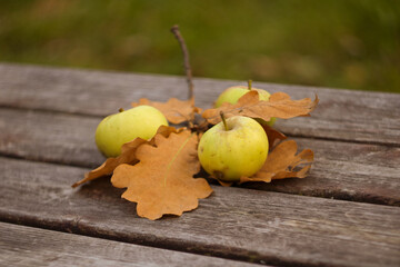 Yellow apples and oak leaves lie on a wooden table