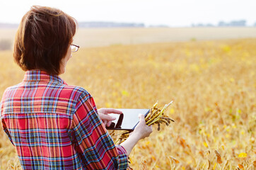 Middle age brunette caucasian female farm worker in glasses with digital tablet inspecting soy...