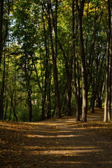 Autumn day in the city park.