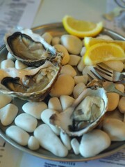 mussels on the beach
