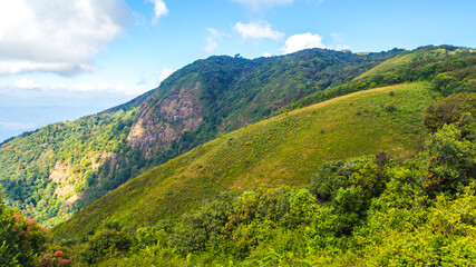 Mountains,green trees, the nature of Thailand.
