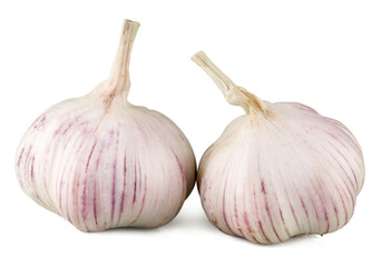 Garlic isolated on a white background,