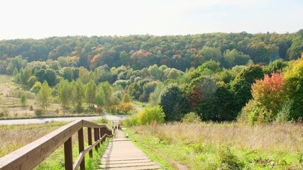 Fototapeta na wymiar Hiking trail a walking trail in a wild green autumn forest on a Sunny morning. Russia