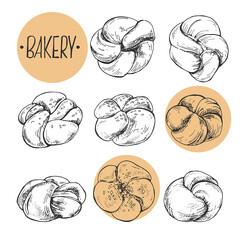 Hand drawn vector illustration knotted rolls with lettering