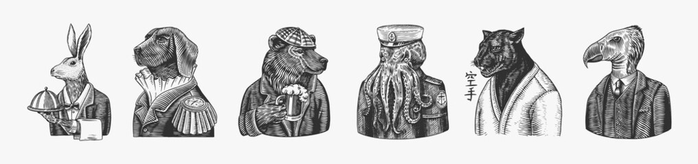 Grizzly Bear with a beer mug. Octopus sailor and Hare or Rabbit waiter. Dog officer and bird. Black panther and Bee biker. Japanese text means: karate. Fashion animal character. Hand drawn sketch. - obrazy, fototapety, plakaty