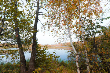 Trees and grass by the lake on an autumn day
