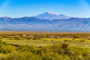 Arid Landscape Brava Lagoon Reserve La Rioja, Argentina