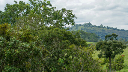Fototapeta na wymiar View of a farm in the state of Minas Gerais, Brazil