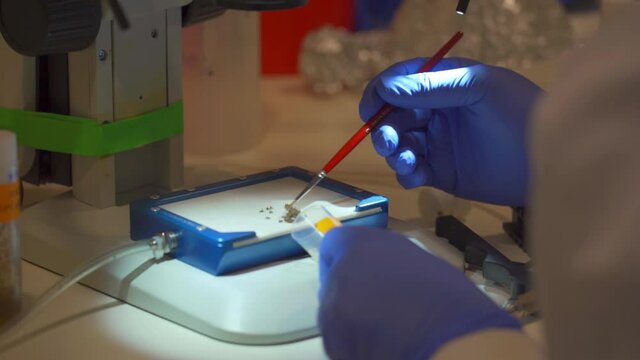 laboratory and ﬁeld tests on Mediterranean fruit fly