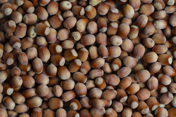 Whole hazelnuts. Photo wallpaper. Walnut background. Top viev
