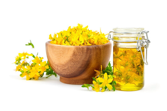 Hypericum perforatum, St Johns wort or tutsan plant oil isolated on white background.