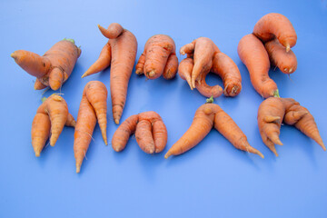 A lot of fresh carrots of unusual intrecing shape lies on a blue background. Unusual vegetables