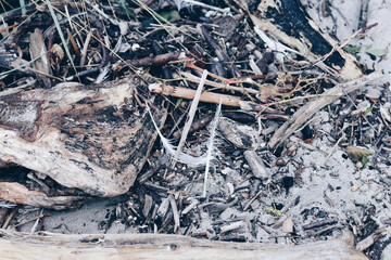 close up of the beach stones