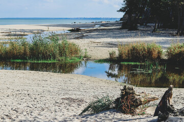 Beach landscape