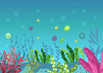 Naklejka na ściany i meble Sea underwater marine background. Marine sea bottom with aqua plants, coral reef underwater seaweed plants, ocean plants, algae, laminaria, sea moss tropical sea plant. Underwater life