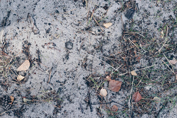 beach texture