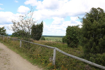 Wanderweg mit Geländer auf dem Wilseder Berg