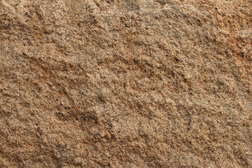 Stone texture in morning light. 