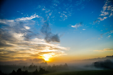 Thick mystical fog over a green forest. Juicy grass.