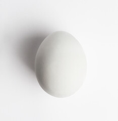 White Chicken egg. Top view. White background