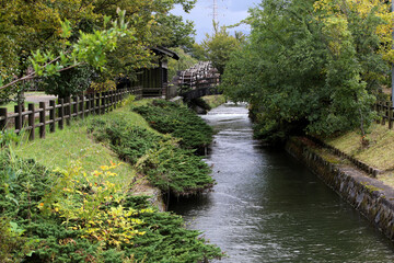 Fototapeta na wymiar 広い公園内を流れる水路と青々と茂った樹木