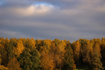 Autumn sunny park Landscape. Autumn Trees and River whith a cloudy blue Sky.