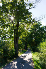 Beautiful autumn Trees around River Sazava from the central Czech 