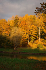 Autumn sunny park Landscape. Autumn Trees and River whith a cloudy blue Sky.